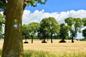 Wandern in der Natur für Geist und Seele